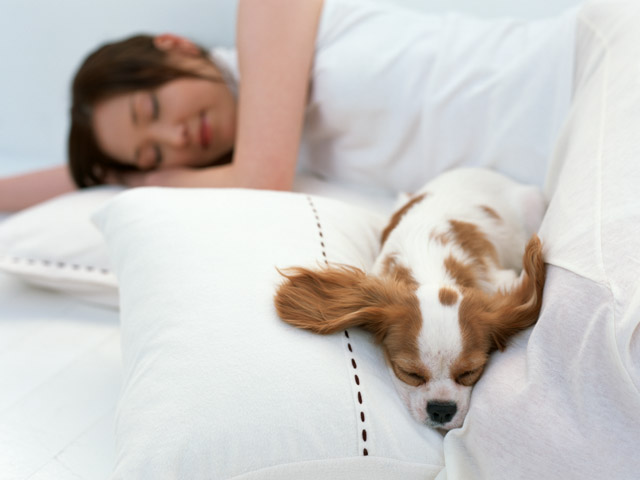 休養と睡眠がないと筋肉は回復しません